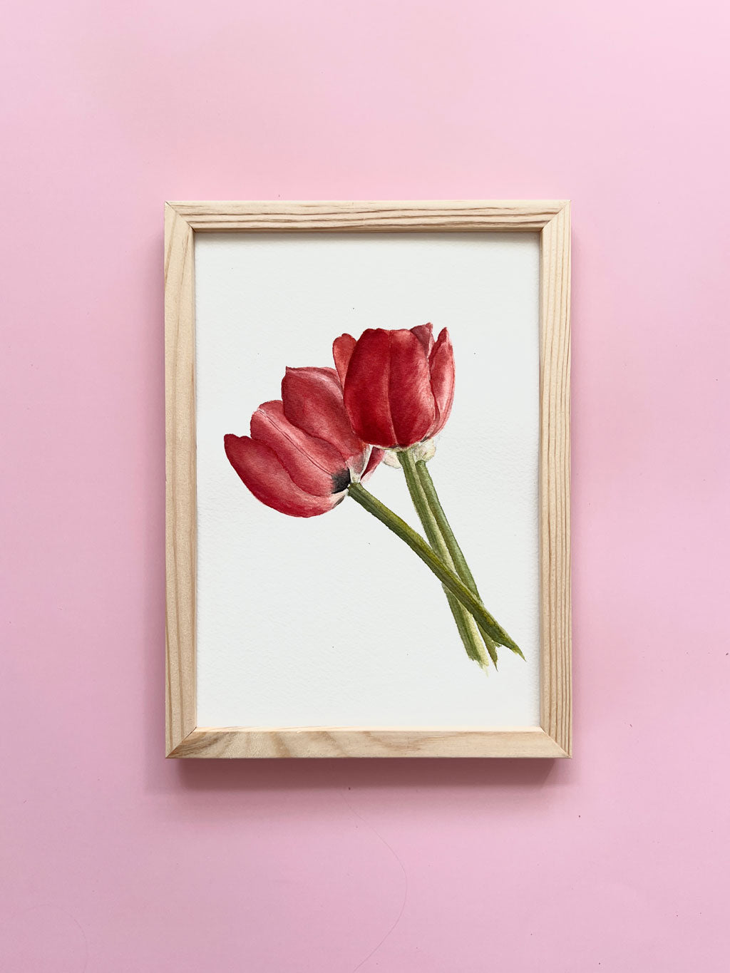 Tulipaner original A5