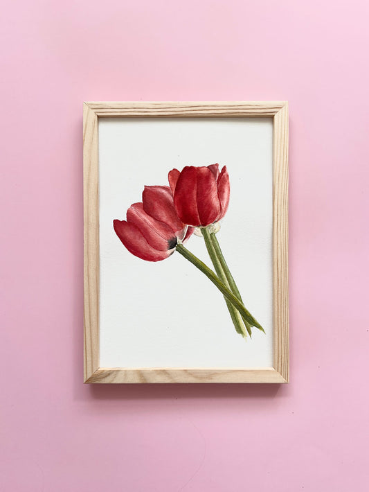 Tulipaner original A5